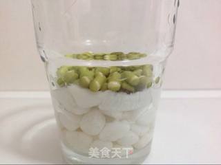 豆你玩-绿豆芽苗菜的做法步骤：2