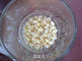 豆你玩-绿豆芽苗菜的做法步骤:3