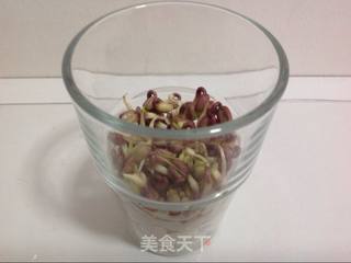 豆你玩-绿豆芽苗菜的做法步骤：5