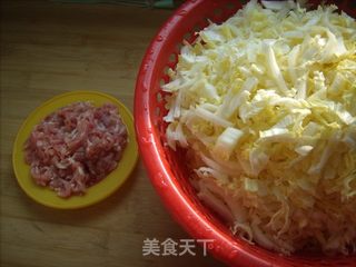 大白菜肉丝春卷的做法步骤：2