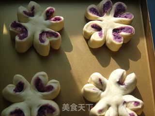 紫薯花包的做法步骤:8