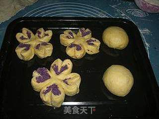 酸奶紫薯椰蓉面包的做法步骤:14