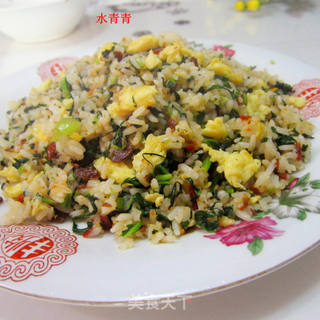 芥末鸡蛋炒饭的做法步骤：8
