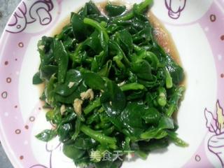 凉拌田七的做法步骤:4
