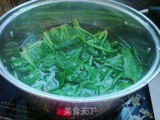 油泼菠菜的做法步骤:2
