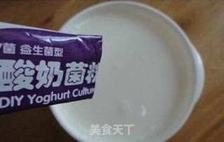 自制酸奶的做法步骤:2