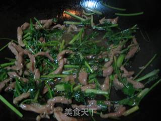 记忆中广院的味道——香菜炒肉丝的做法步骤:4