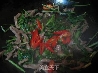 记忆中广院的味道——香菜炒肉丝的做法步骤:5