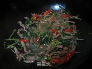 记忆中广院的味道——香菜炒肉丝的做法步骤:6