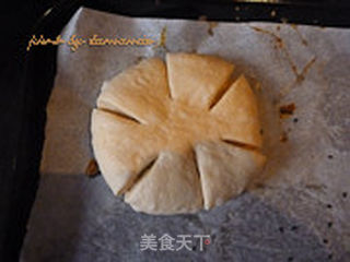 椰蓉花包的做法步骤:16