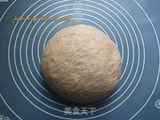 黑麦餐包的做法步骤:6