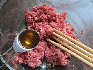 羊肉灌汤饺子的做法步骤:5