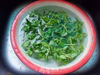 水香菜煮鱼的做法步骤：1