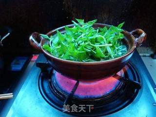 水香菜煮鱼的做法步骤：7