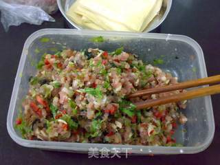 海风鲜肉馄饨的做法步骤:2
