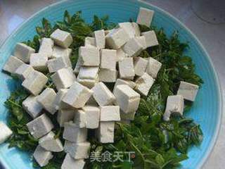 花椒芽拌豆腐的做法步骤:4