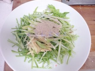 芫爆杏鲍菇的做法步骤:5