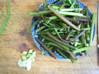 春天的野菜香---酒糟炒蕨菜的做法步骤:2