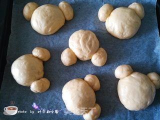 小熊面包的做法步骤:9