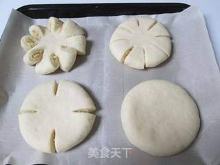 椰蓉面包的做法步骤：13