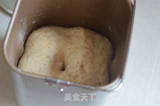 蜂蜜全麦吐司的做法步骤:4