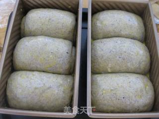 黑芝麻蜂蜜土司的做法步骤:13