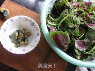 水煮苋菜的做法步骤:2