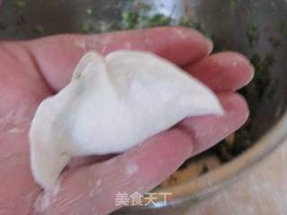 茴香猪肉水饺的做法步骤：18