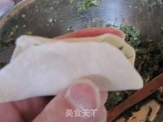 茴香猪肉水饺的做法步骤：17