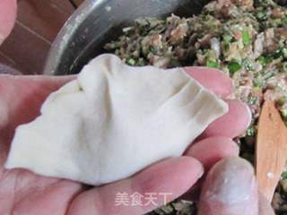 韭菜猪肉蘑菇饺的做法步骤：27