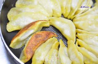 牛肉锅贴的做法步骤:7