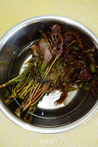 【解密舌尖美味】--香椿拌豆腐的做法步骤:3