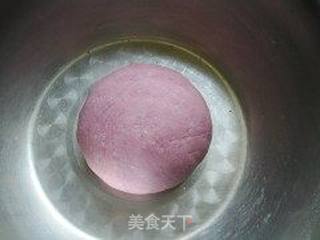 紫薯馒头卷的做法步骤:4