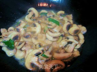 蘑菇炒肉片的做法步骤：5
