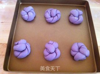 紫甘蓝花辫小餐包的做法步骤：8