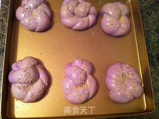 紫甘蓝花辫小餐包的做法步骤：9