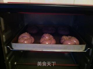 紫甘蓝花辫小餐包的做法步骤：10