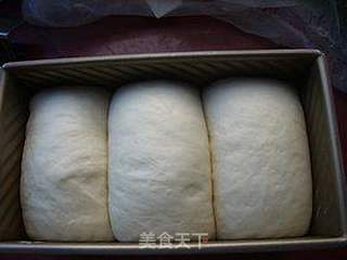 牛奶土司的做法步骤:8