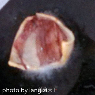 客家小吃————清蒸萝卜丸的做法步骤:4