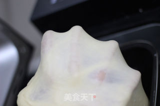 椰蓉花朵面包的做法步骤:3