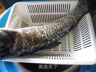 泡椒酥皮鱼的做法步骤:2