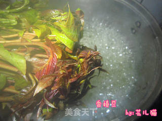香椿豆的做法步骤:2