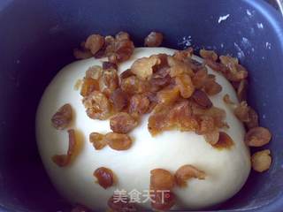龙眼干面包的做法步骤:6