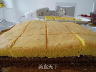 春天里的浪漫西点——草莓黑白配的做法步骤:16