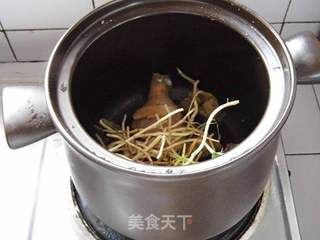 鱼腥草炖鸡汤的做法步骤:5