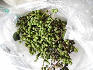 口蘑肉丝烩西兰花的做法步骤:4