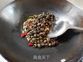 香辣田螺的做法步骤:7