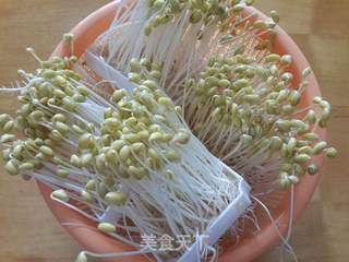 豆芽牛肉汤的做法步骤:7