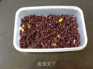 紫米果脯双色饭的做法步骤：3