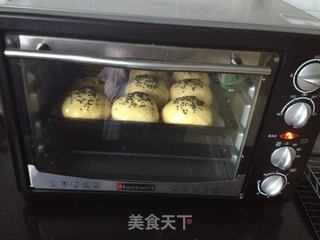 南瓜紫薯餐包的做法步骤:10